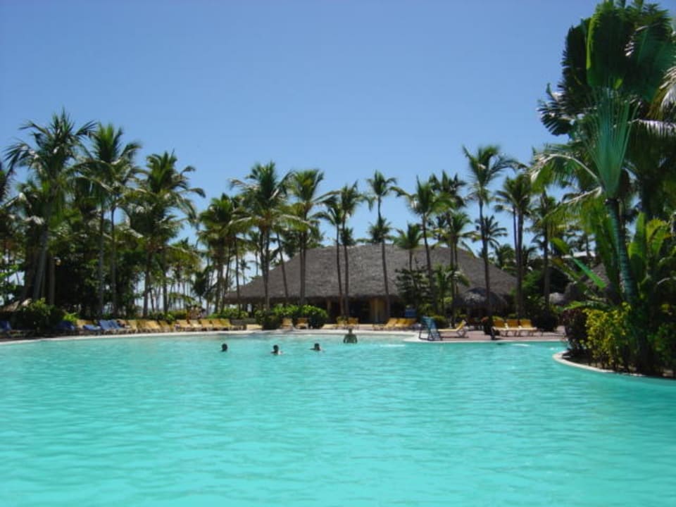 Pool Catalonia Punta Cana - All Inclusive