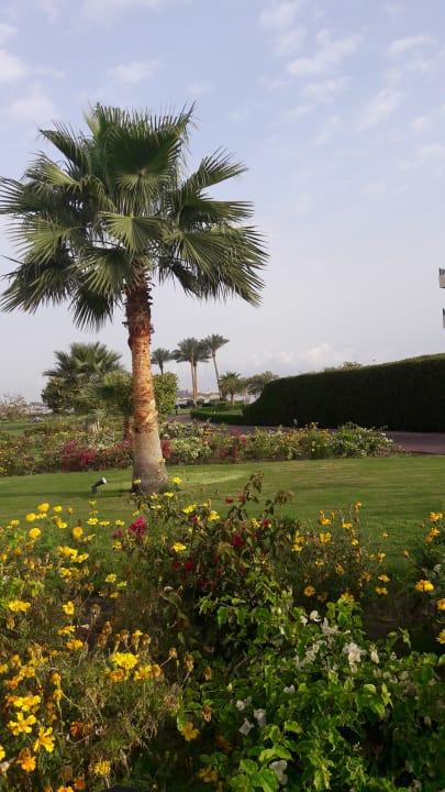 Gartenanlage Cleopatra Luxury Resort Makadi Bay
