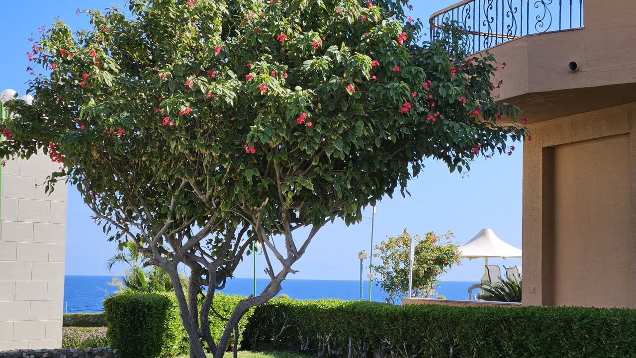 Gartenanlage Sentido Akassia Beach