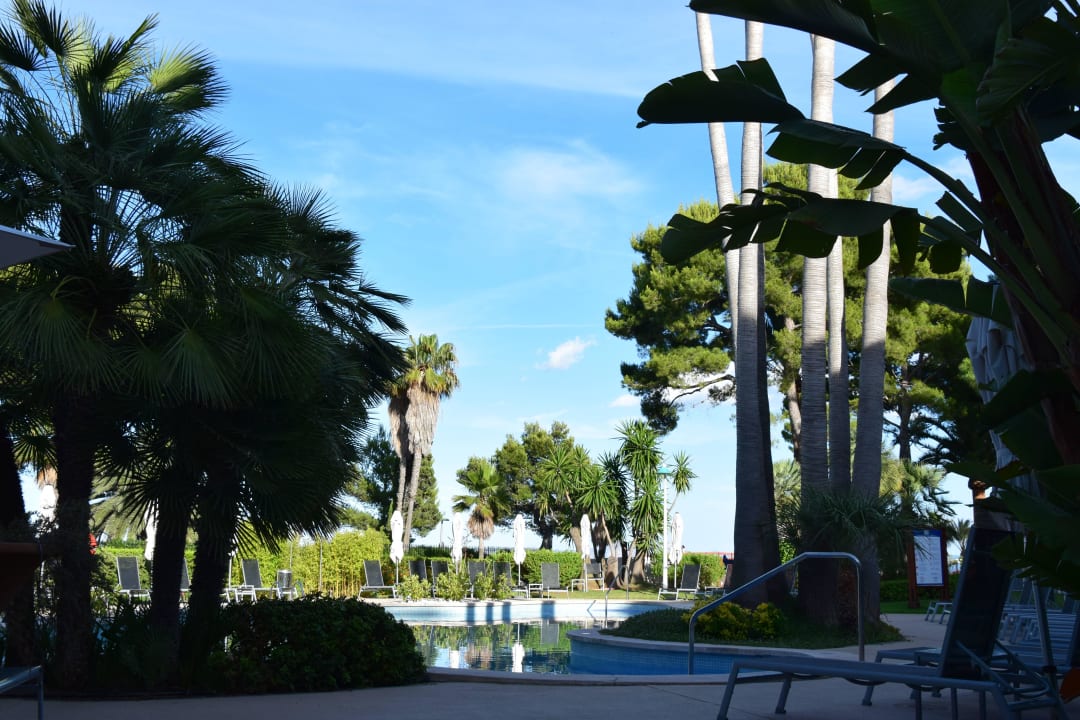 Pool allsun App.-Hotel Orquidea Playa