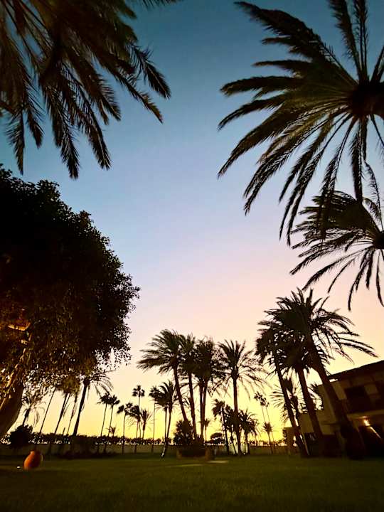 Gartenanlage ROBINSON JANDIA PLAYA