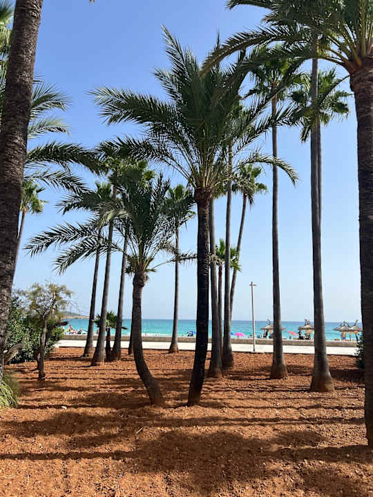 Strand Hipotels Mediterraneo Club