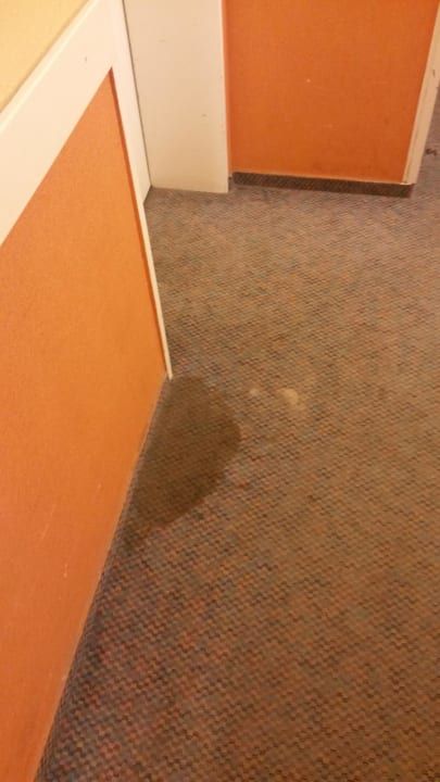 Schmutlecken auf dem Teppich Ferienwohnungen Ferienpark Weissenhäuser Strand