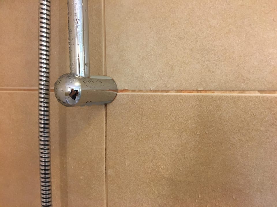 Roter Siff in den Fugen der Dusche Center Parcs Park Bostalsee