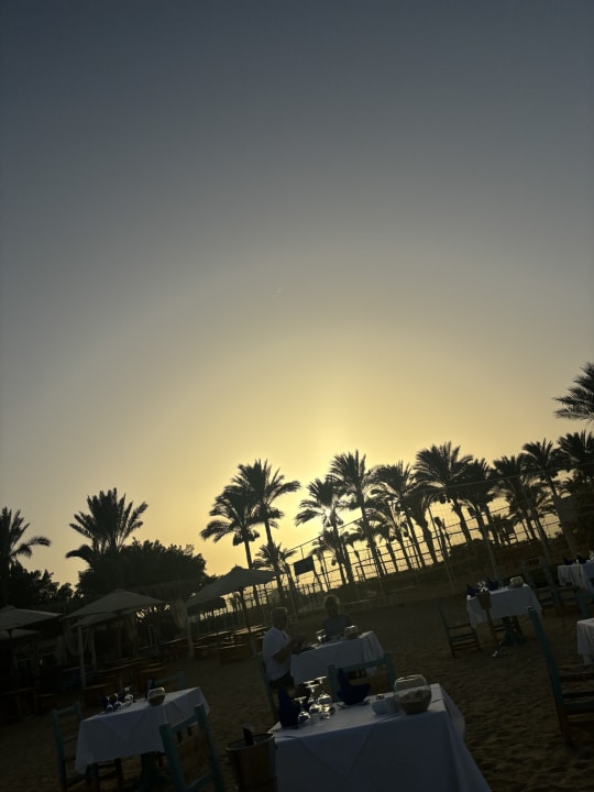 Gartenanlage Desert Rose