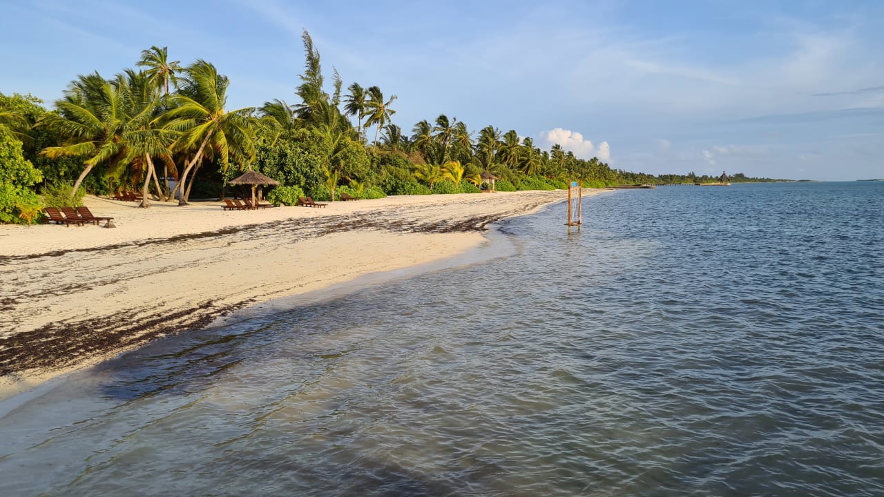 Strand Canareef Resort Maldives