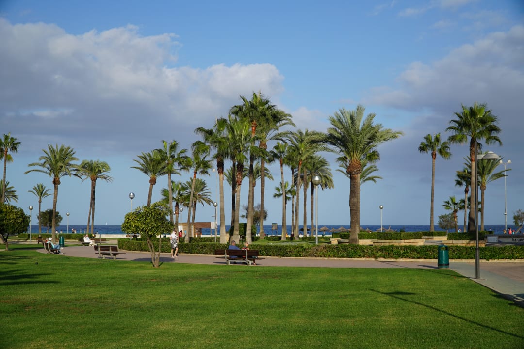 Gartenanlage Hipotels Mercedes