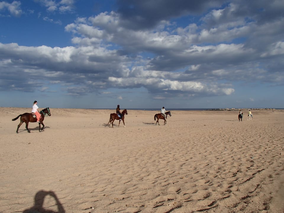 Strand Jaz Makadina
