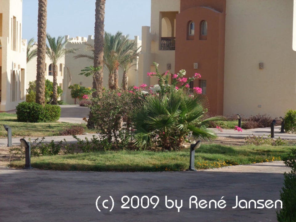 Ganz viel Grün SUNRISE Royal Makadi Resort