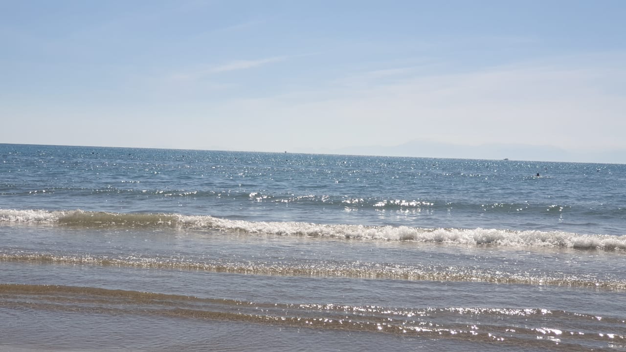 Ausblick Clover Magic Nova Beach