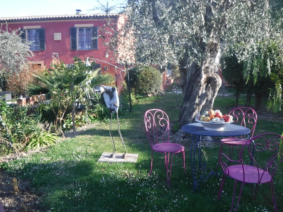 Gartenanlage Guesthouse Sous L'Olivier