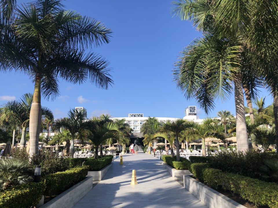 Gartenanlage Hotel Riu Palace Meloneras