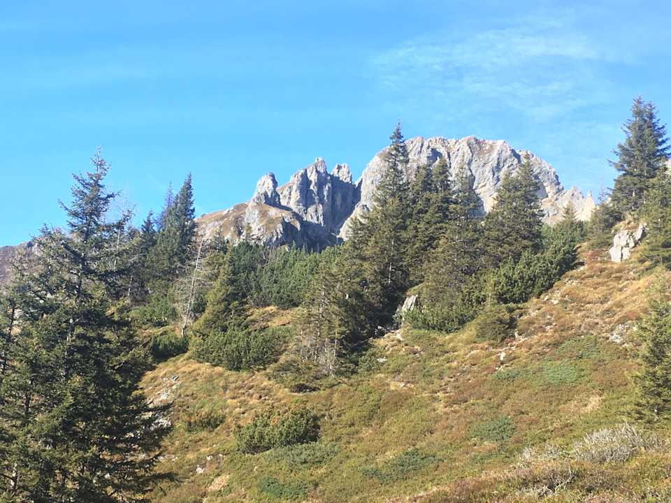 Sonstiges Großarler Hof