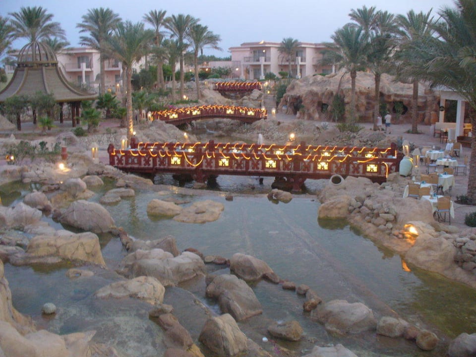 Hotelowy ogród Parrotel Beach Resort