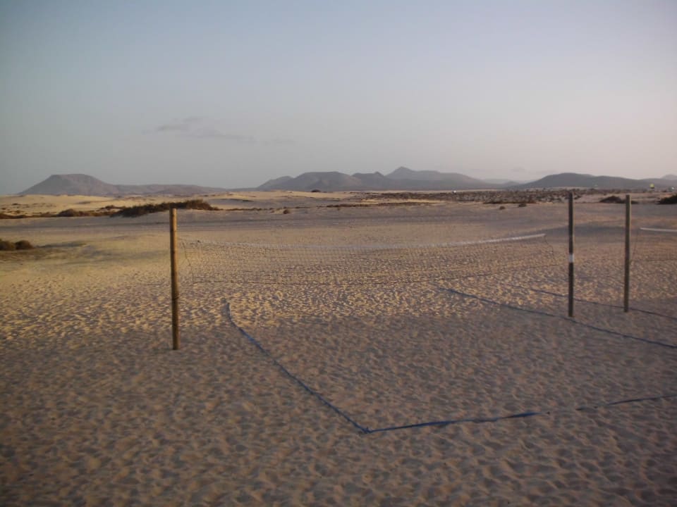 Volleyballfeld in der Wüste Hotel Riu Oliva Beach Resort