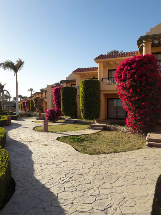 Gartenanlage Ali Baba Palace Hotel