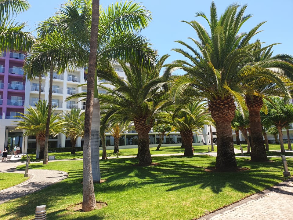 Garten Hotel Riu Gran Canaria