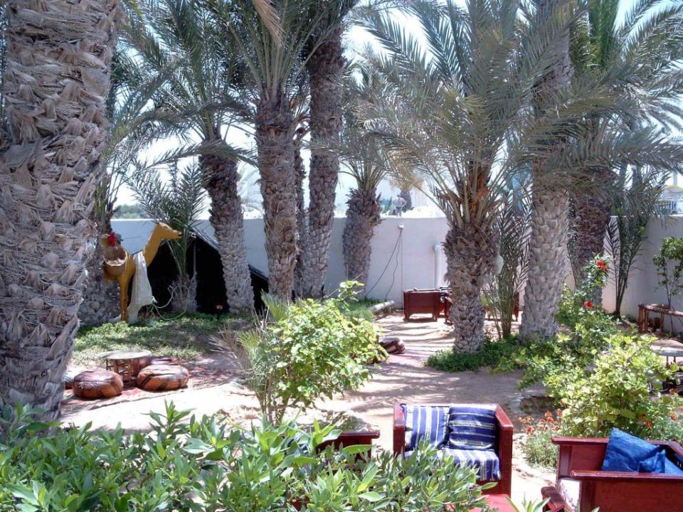 Hier konnte man abends Tee trinken und Wasserpfeife rauchen Calimera Yati Beach