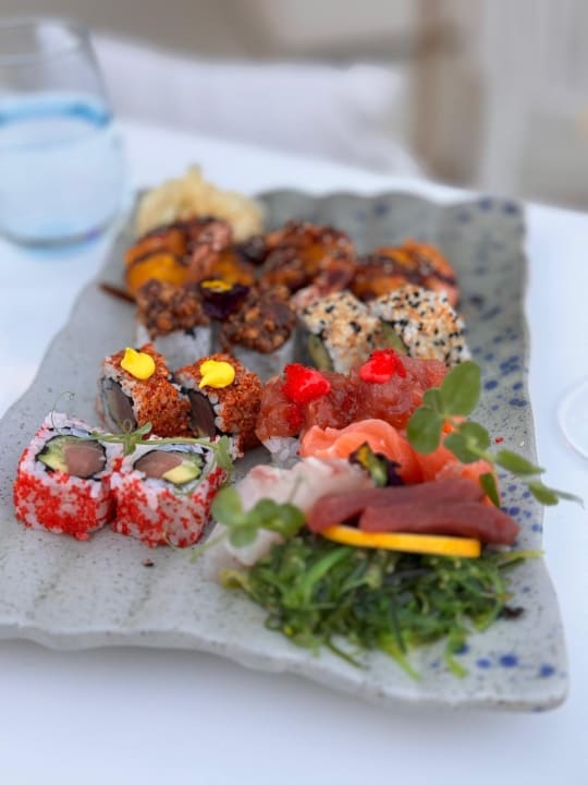 Gastro ROBINSON NOBILIS