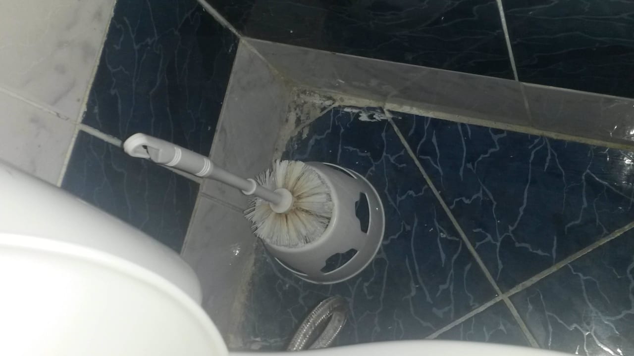 Dreckige Klobürtse Desert Rose