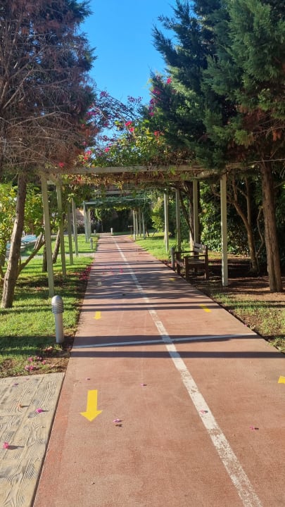 Gartenanlage Saturn Palace Resort Hotel