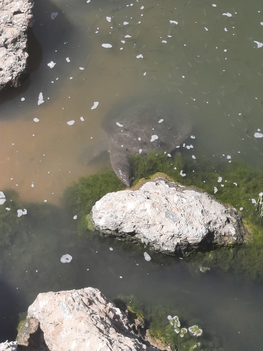 Strand Hotel Defne Garden