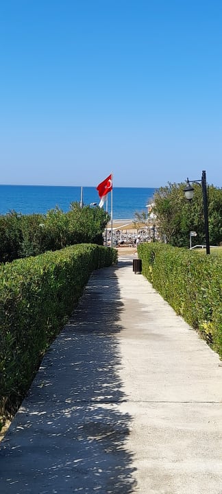 Gartenanlage Alba Queen Hotel