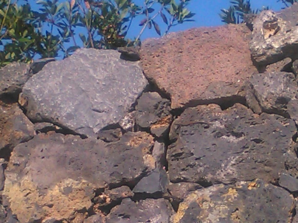 Gartenanlage Hotel Baia Azul