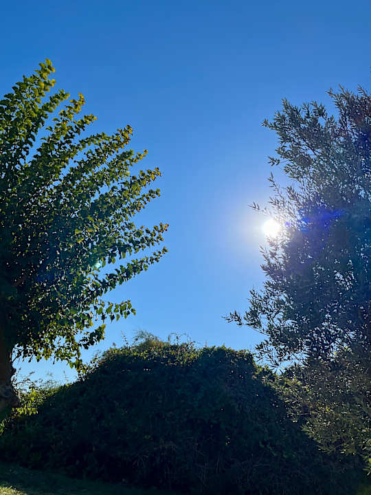 Gartenanlage Sherwood Blue Belek