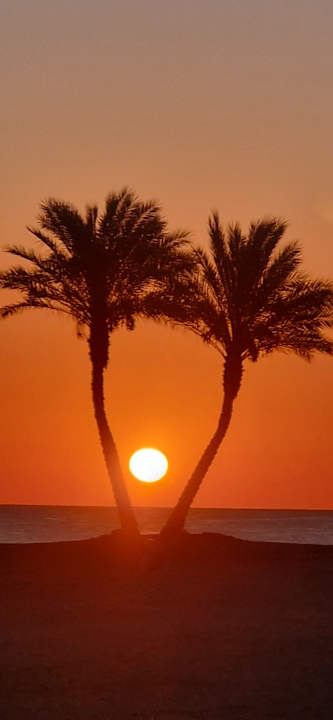 Strand Malikia Resort Abu Dabbab