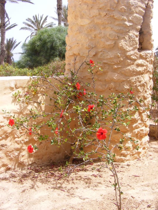 Vor dem Freilufttheater Djerba Castille