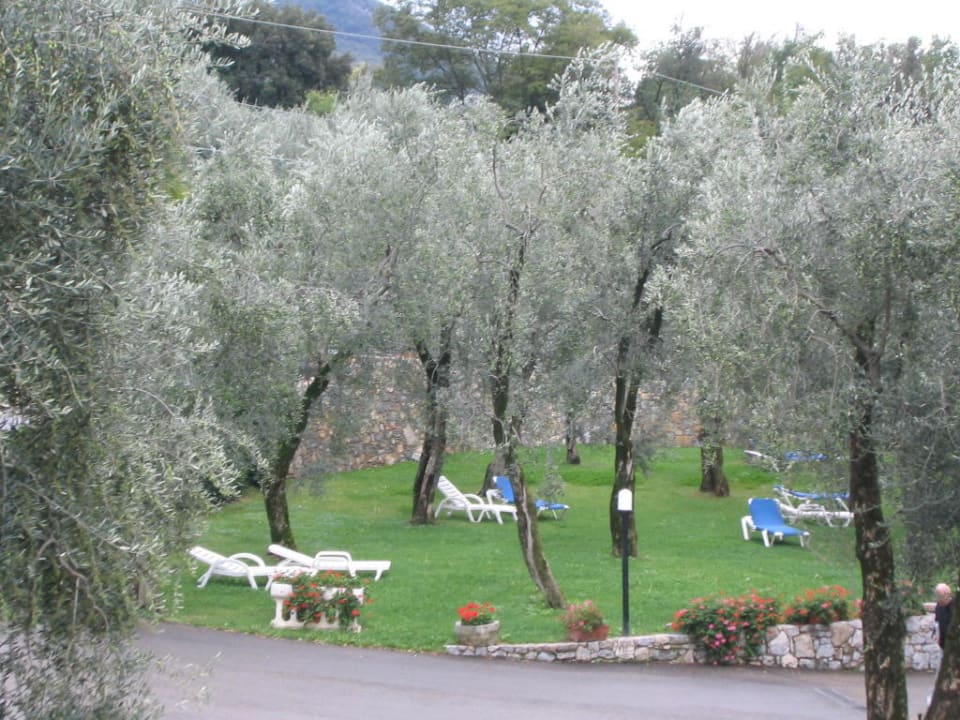 Parkanlage hinter Hotel Panorama Natur Resort Panorama