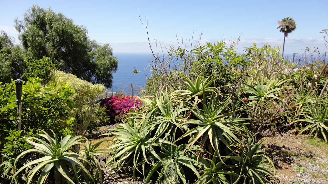 Gartenanlage Jardin Mariposa Retreat- und Seminarzentrum