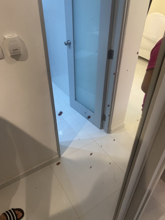 Zimmer Hotel Viva Dominicus Beach by Wyndham - All Inclusive Resort