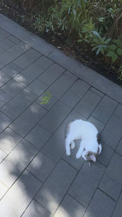 Ausblick Ali Bey Resort Sorgun