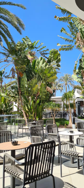 Gastro Hotel Riu Palace Palmeras