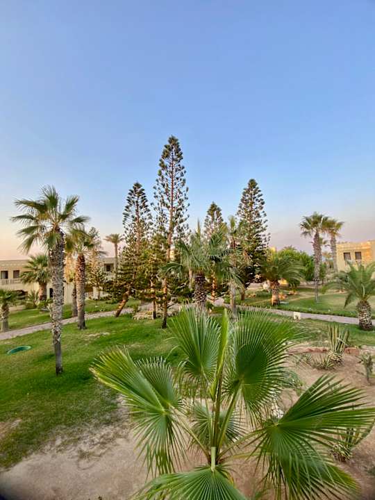 Gartenanlage Aldiana Club Djerba Atlantide