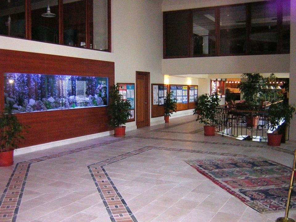 Perissia Lounge PALOMA Perissia