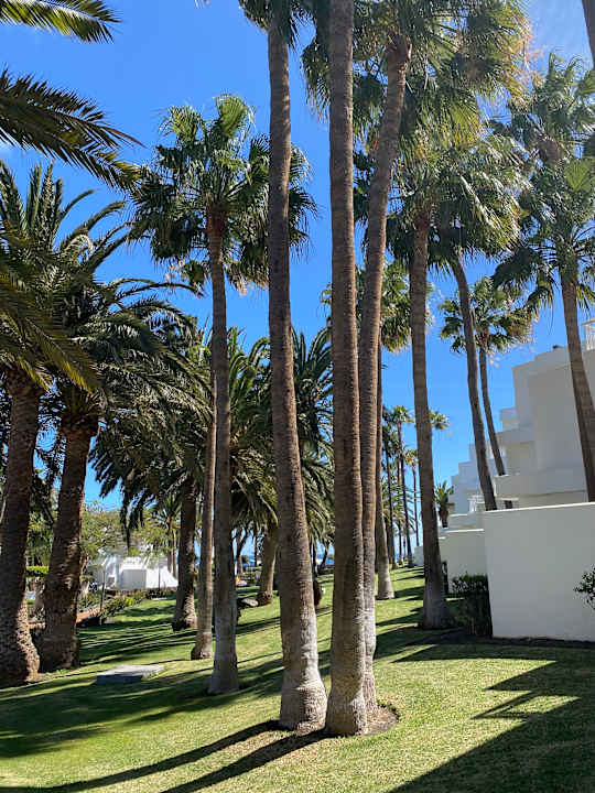 Außenansicht Hotel Riu Paraiso Lanzarote