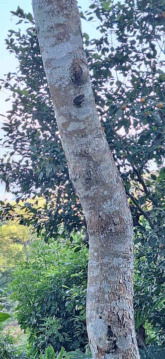 Gartenanlage Pu Luong Eco Garden