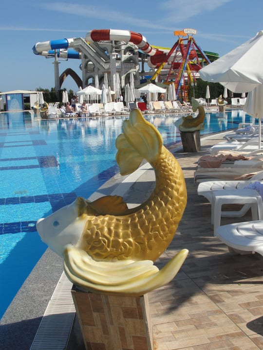 Am Pool Hotel Delphin Imperial