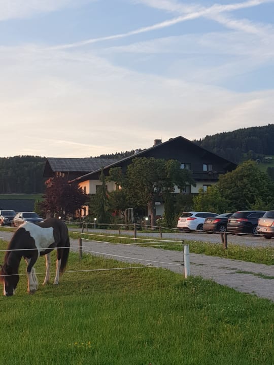 Außenansicht Der Trattner - Hotel Trattnerhof & Hotel Schöcklblick
