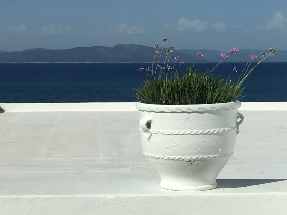 von der Lounge aus TUI BLUE Oceanis Beach and Spa Resort