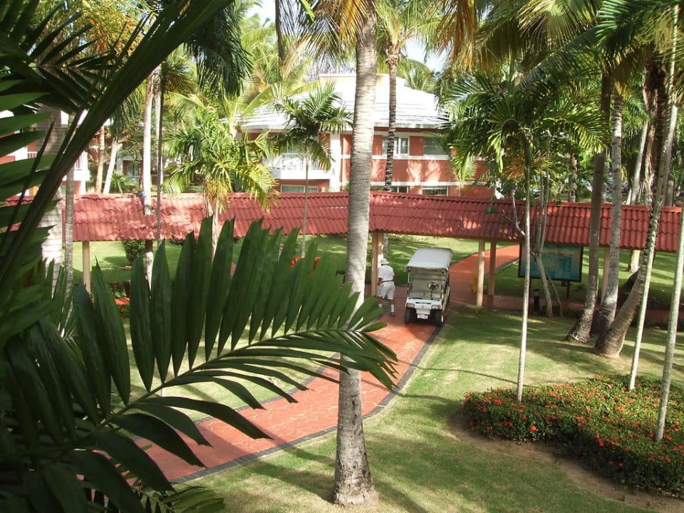 Gartenanlage Grand Palladium Select Bávaro Resort & Spa