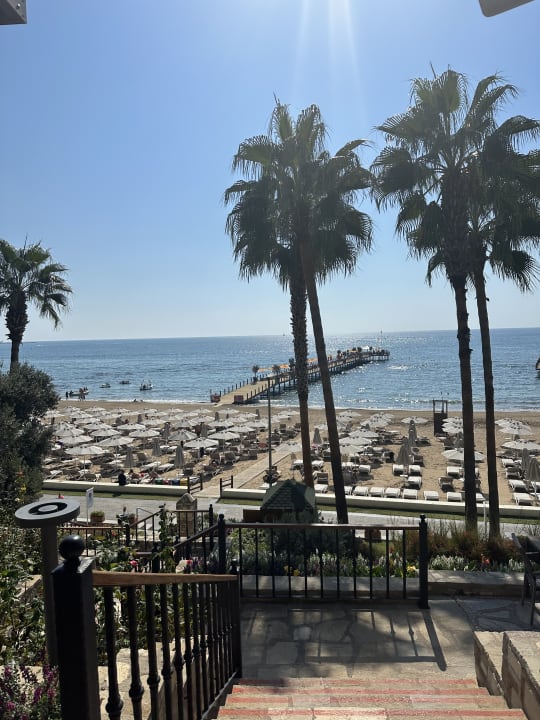 Strand Arum Barut Collection