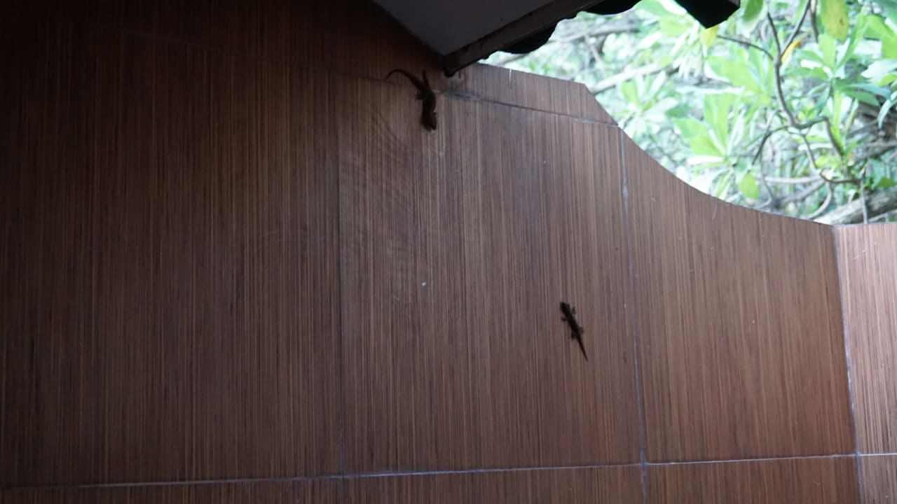 Zimmer Adaaran Select Meedhupparu Island Resort - Premium All Inclusive