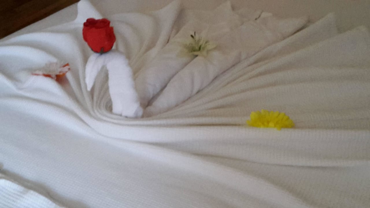 Nette Zimmerfee..  Alaiye Resort & Spa
