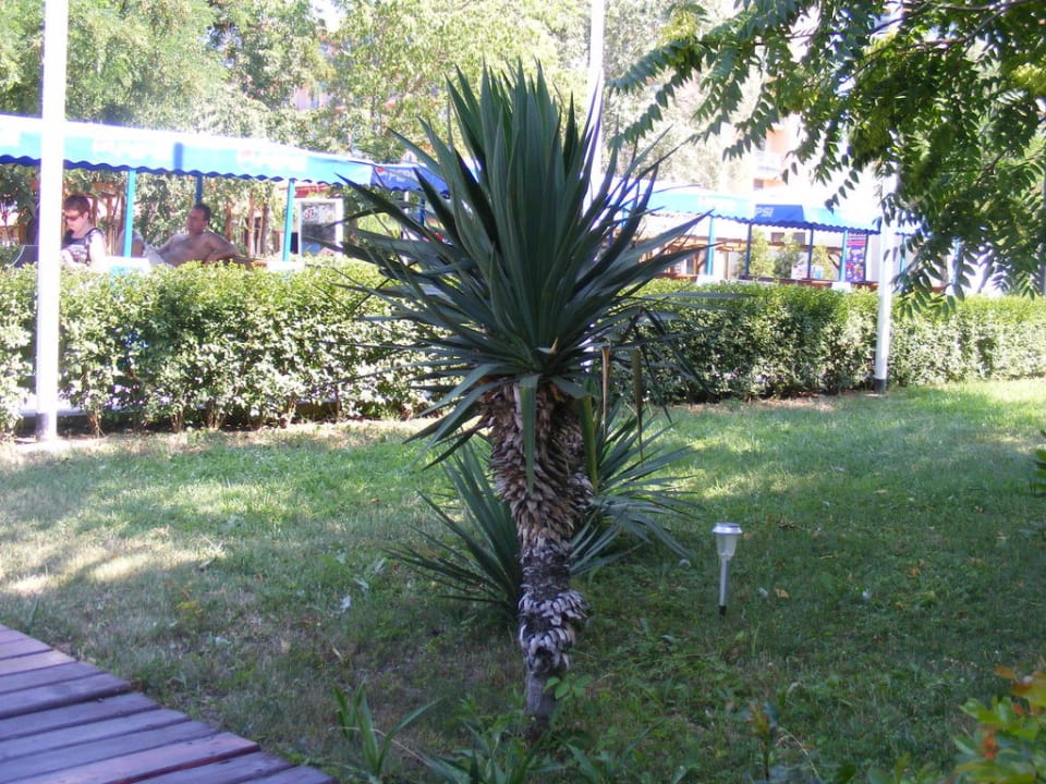 Rückseite Parkhotel Continental