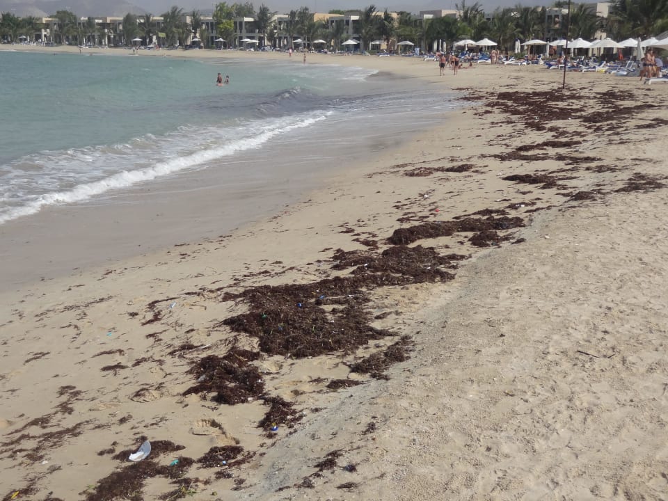 Tanganspülung Rixos Al Mairid Ras Al Khaimah