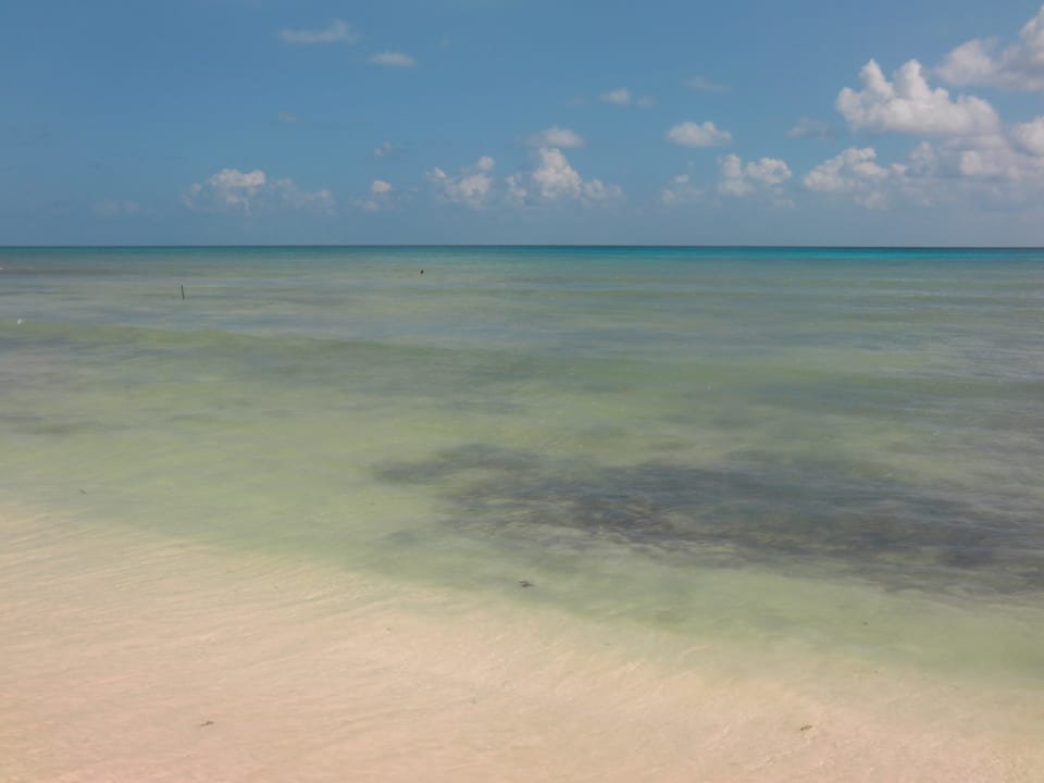 Glasklares Wasser Platinum Yucatan Princess All Suites & Spa Resort - Adults only